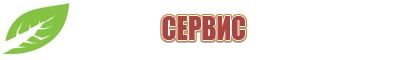 Вертебра для спины